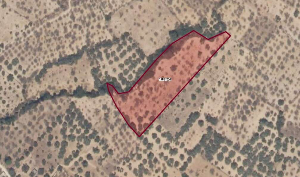 Turizm Cenneti Datça’da Denize Sıfır Restoran “Kelepir” Bedelle İhaleye Çıkıyor 1